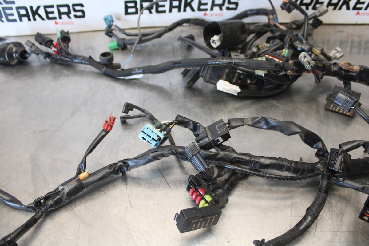 24-25 KAWASAKI NINJA 500 ABS MAIN ENGINE WIRING HARNESS WIRE LOOM BB899
