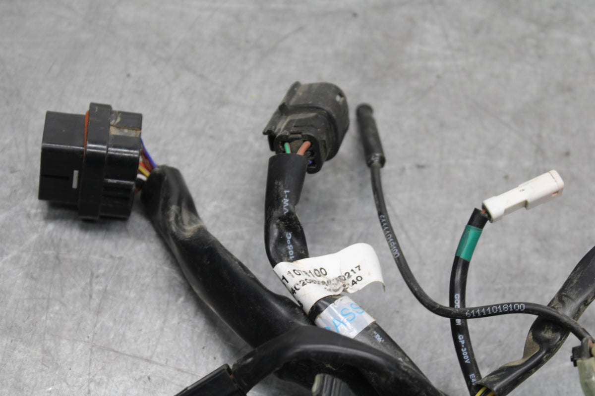 21-24 KTM 890 ADVENTURE R HEADLIGHT SPEEDO GAUGES WIRING HARNESS WIRE LOOM BB723