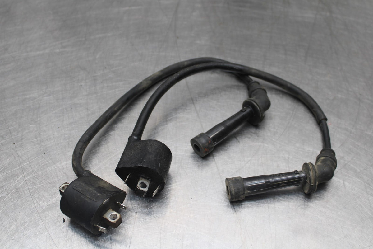 03 SUZUKI SV650 IGNITION COILS COIL SPARK PLUG CAPS BB846