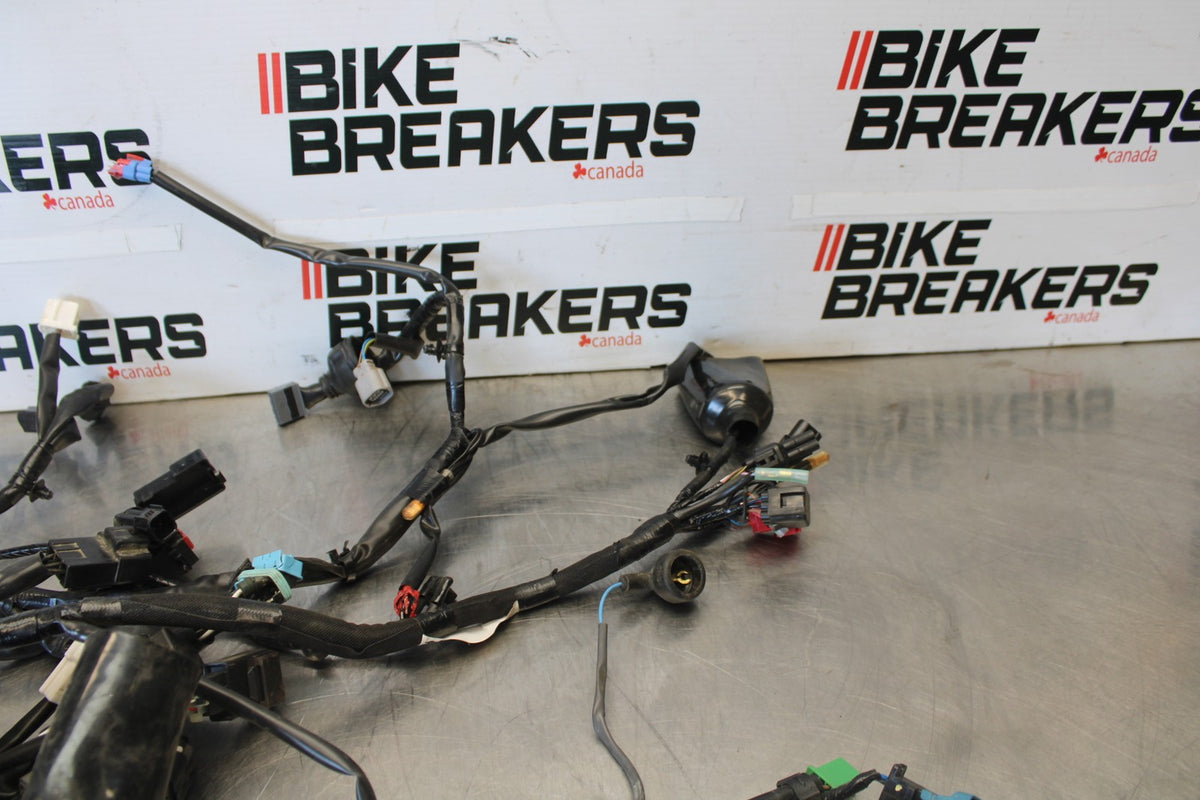 24-25 KAWASAKI NINJA 500 ABS MAIN ENGINE WIRING HARNESS WIRE LOOM BB899
