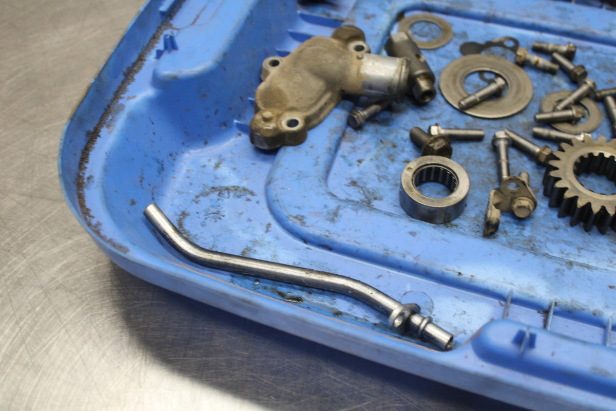 15 TRIUMPH TIGER 800 ENGINE BOLTS HARDWARE MOTOR SCREWS BB873