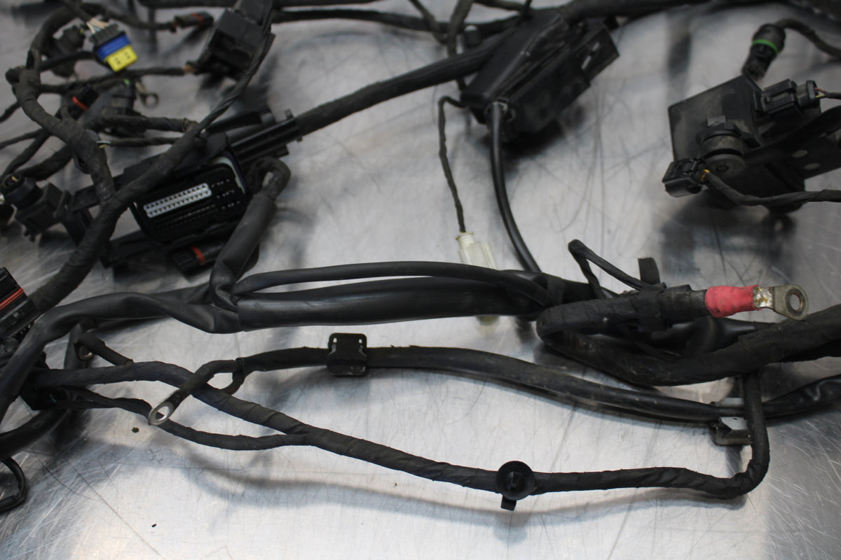 06-12 BMW F800ST MAIN ENGINE WIRING HARNESS MOTOR WIRE LOOM BB144