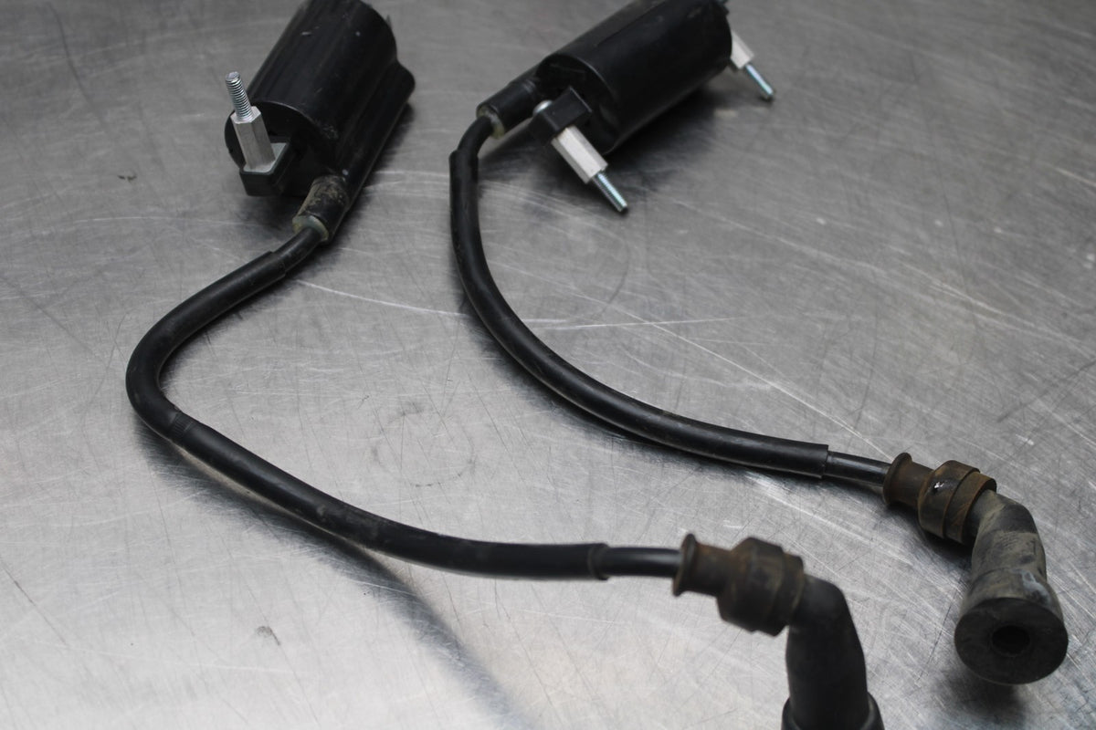 15 SUZUKI GW250F IGNITION COILS COIL SPARK PLUG CAPS BB789