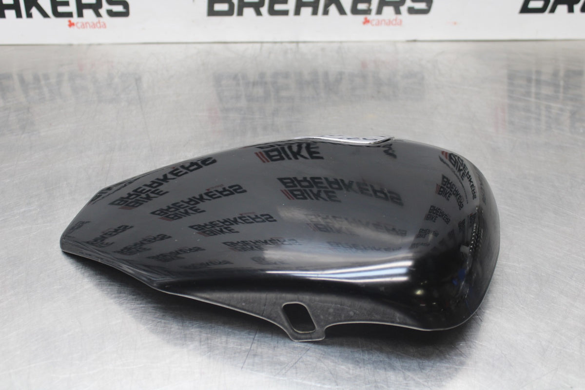 09 HARLEY-DAVIDSON SPORTSTER 1200 CUSTOM XL1200C OIL TANK SIDE COVER PANEL BB776
