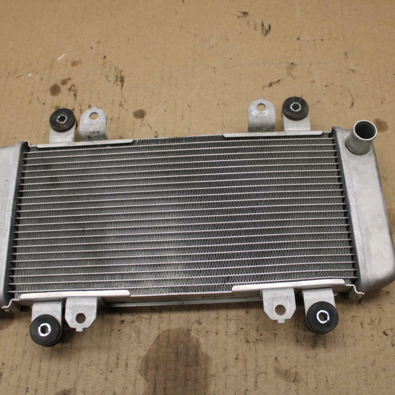 15 KAWASAKI NINJA 300 EX300 ABS ENGINE RADIATOR  COOLER COOLING RADIATER BB395 