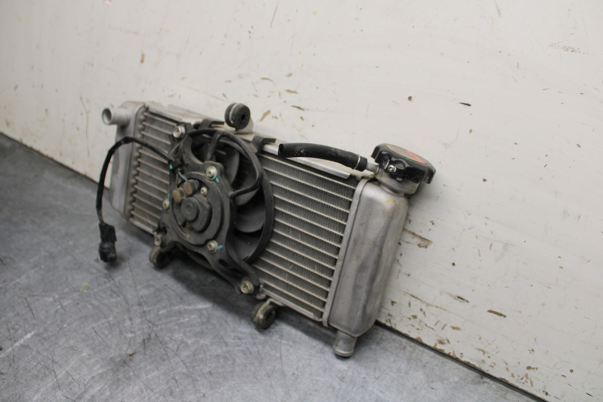 15-16 HONDA CB300F ENGINE RADIATOR MOTOR COOLER COOLING RADIATER BB740