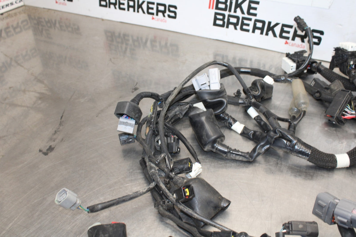 23-26 KAWASAKI NINJA ZX4RR MAIN ENGINE WIRING HARNESS MOTOR WIRE LOOM BB898