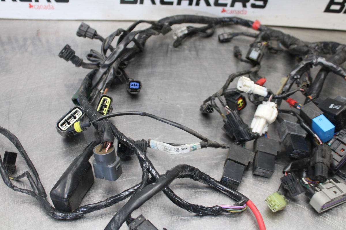12 TRIUMPH STREET TRIPLE R MAIN ENGINE WIRING HARNESS MOTOR WIRE LOOM BB914