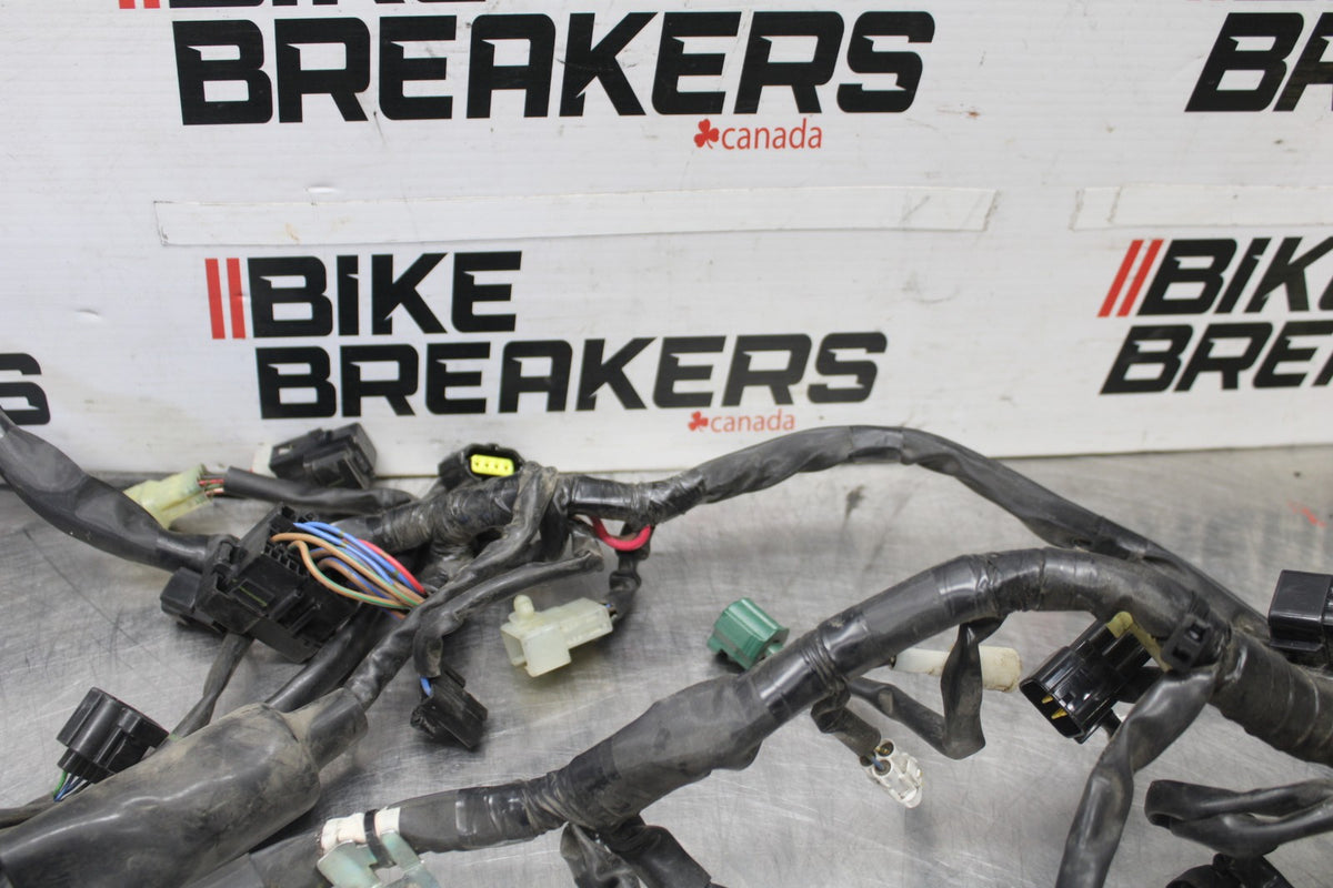 08-16 YAMAHA YZF R6 MAIN ENGINE WIRING HARNESS MOTOR WIRE LOOM BB929