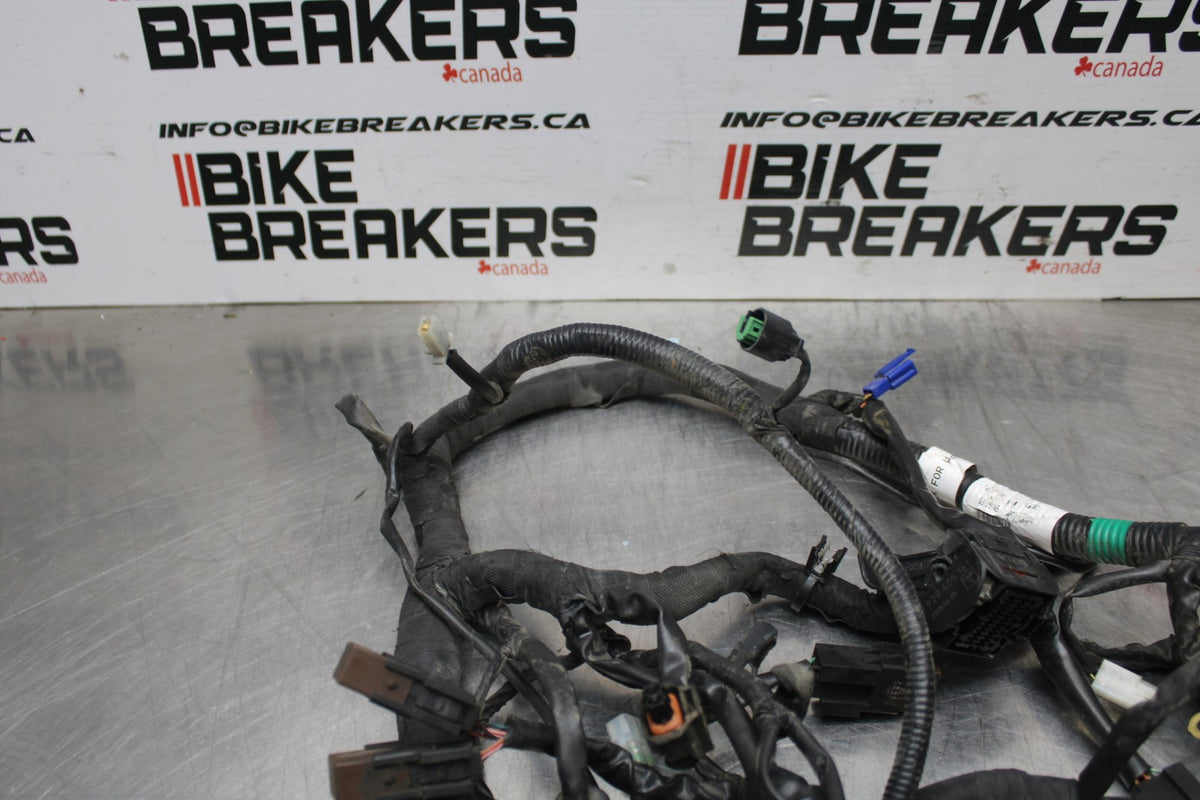 13-16 KTM 390 DUKE MAIN ENGINE WIRING HARNESS MOTOR WIRE LOOM BB815