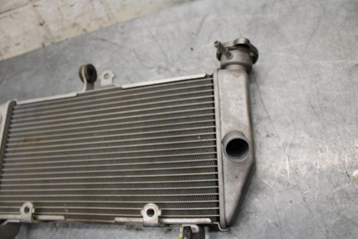 2015 Yamaha YZF R3 ENGINE RADIATOR MOTOR COOLER COOLING RADIATER BB526