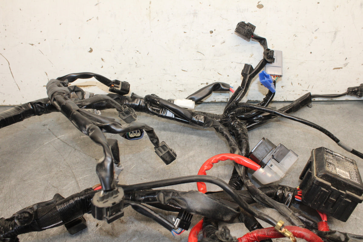 22-24 YAMAHA XSR900 MAIN ENGINE WIRING HARNESS MOTOR WIRE LOOM   BB683