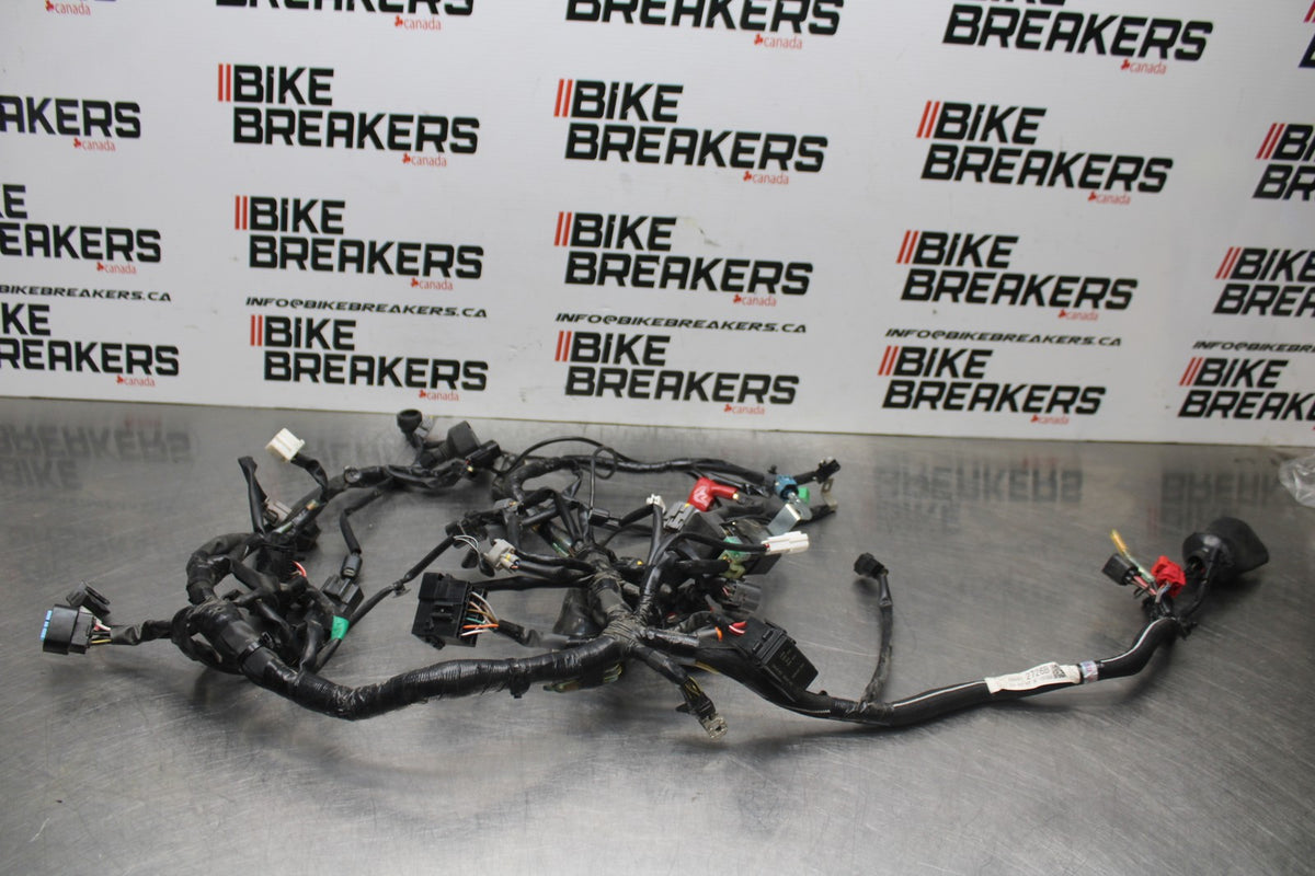 18-26 KAWASAKI Z400 MAIN ENGINE WIRING HARNESS MOTOR WIRE LOOM BB852