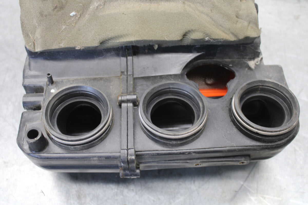 01-06 TRIUMPH TIGER 955I AIRBOX AIR INTAKE FILTER BOX BB693