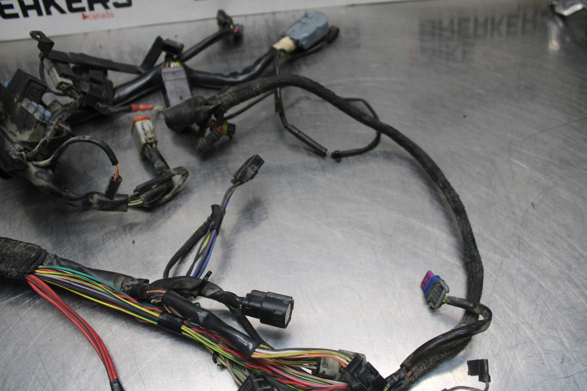 08 HARLEY-DAVIDSON SPORTSTER 1200 MAIN ENGINE WIRING HARNESS WIRE LOOM BB794