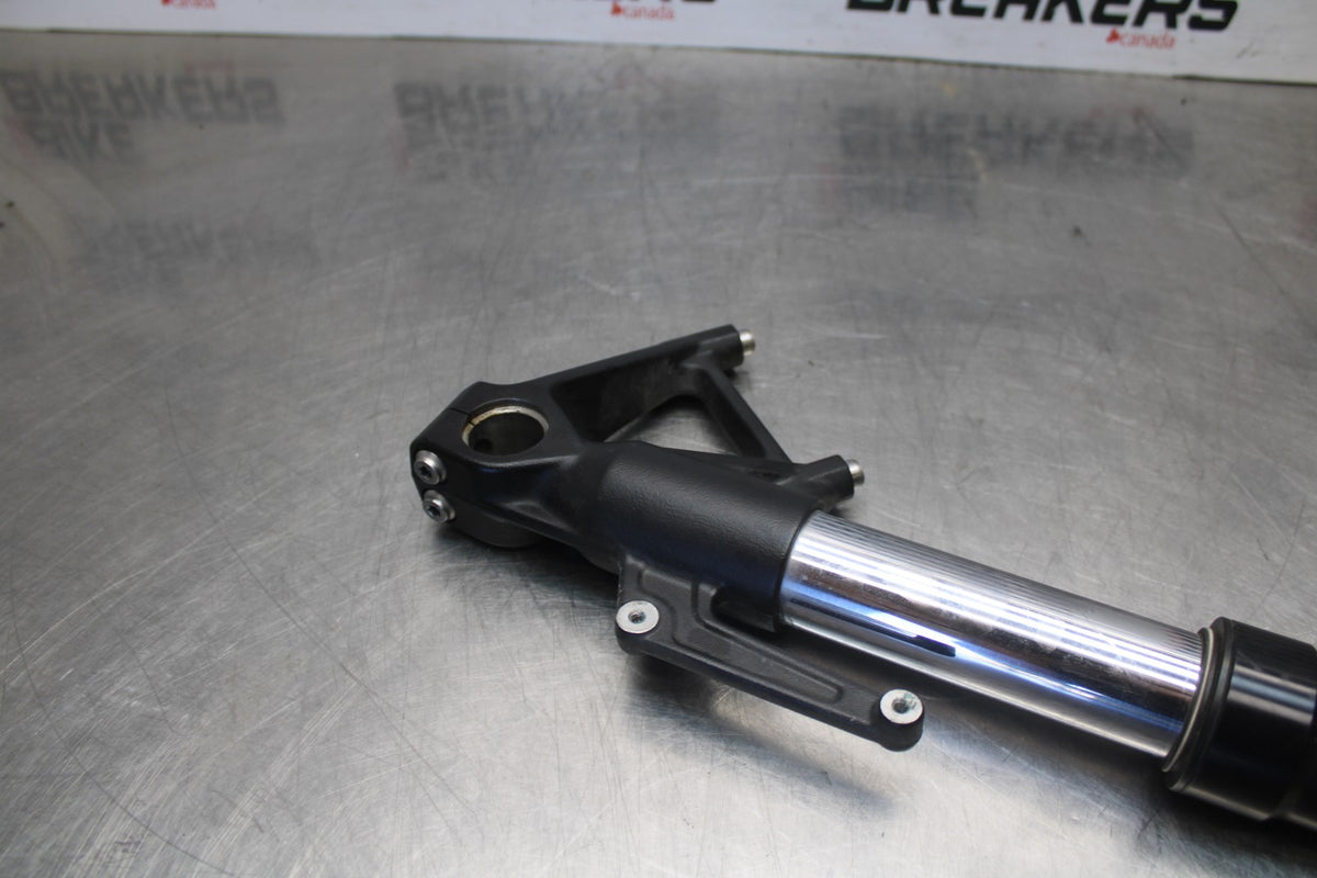 20-23 BMW F900R RIGHT FRONT FORK SHOCK SUSPENSION BB923