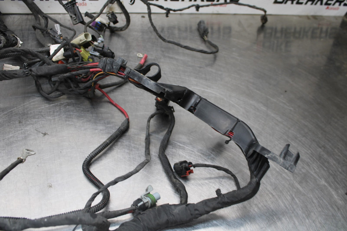 22 HARLEY-DAVIDSON PAN AMERICA 1250 MAIN WIRING HARNESS & MOTOR WIRE LOOM BB910
