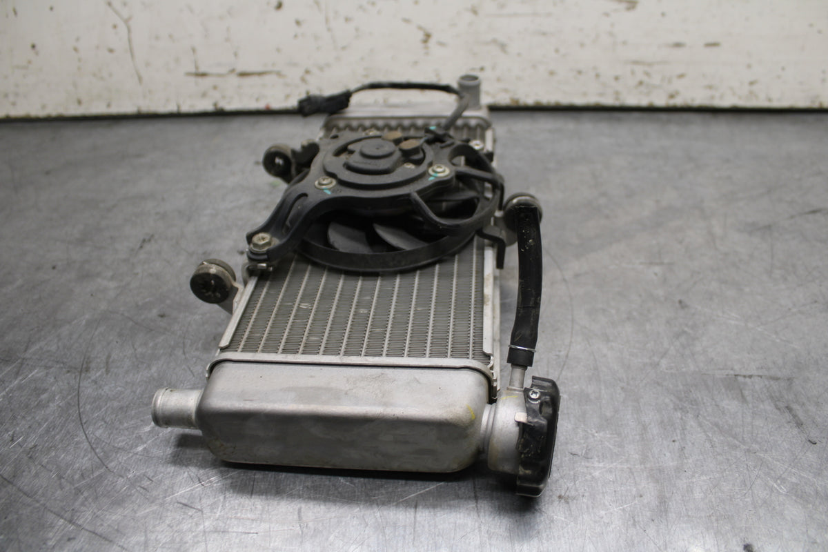15-16 HONDA CB300F ENGINE RADIATOR MOTOR COOLER COOLING RADIATER BB740