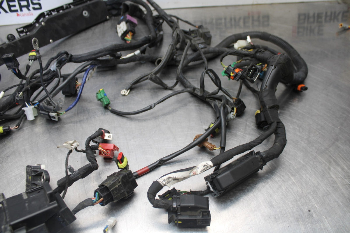 16 APRILIA TUONO V4 1100 ENGINE WIRING HARNESS MOTOR WIRE LOOM BB905