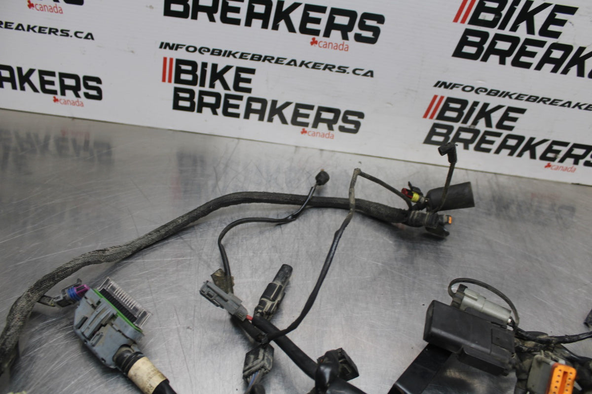 08 HARLEY-DAVIDSON SPORTSTER 1200 MAIN ENGINE WIRING HARNESS WIRE LOOM BB794