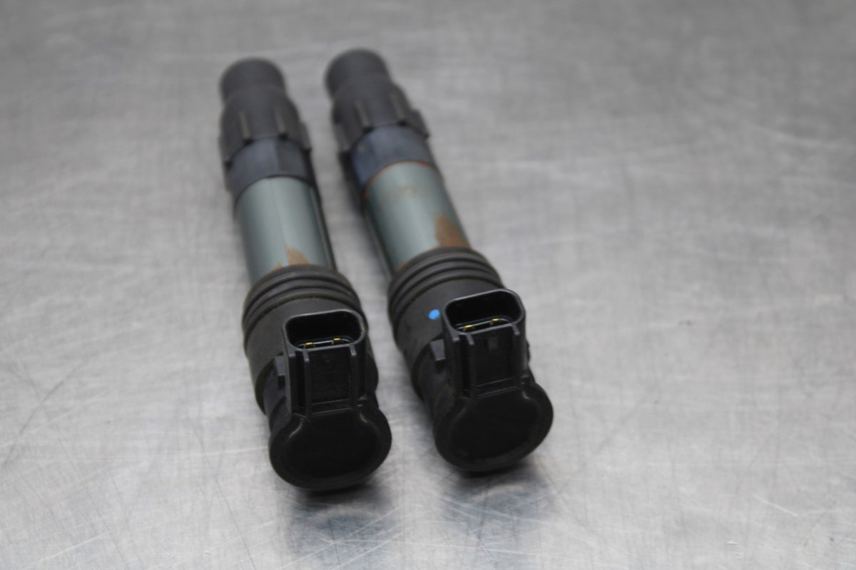 13-17 KAWASAKI NINJA 300 IGNITION COILS COIL SPARK PLUG CAPS BB189