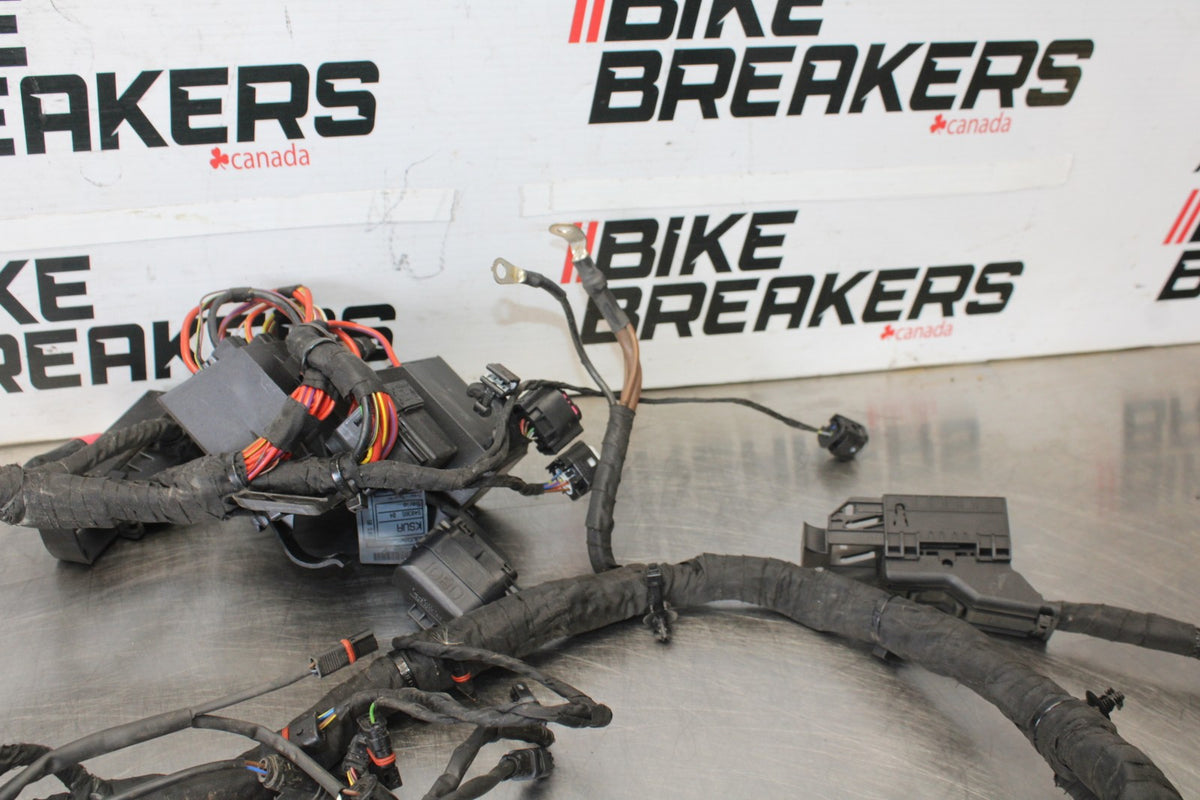 17-20 BMW S1000R FULL ENGINE WIRING HARNESS MOTOR WIRE LOOM BB909