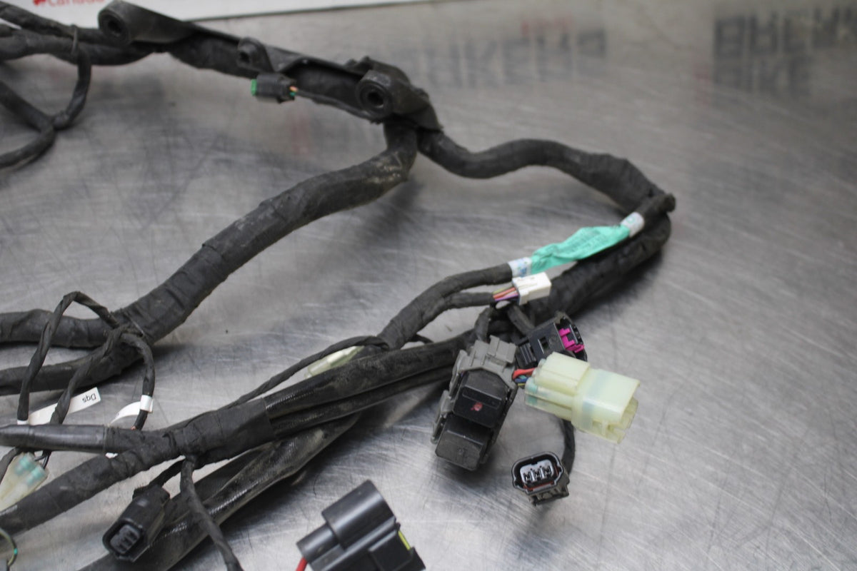 16 DUCATI 959 PANIGALE MAIN ENGINE WIRING HARNESS MOTOR WIRE LOOM BB912