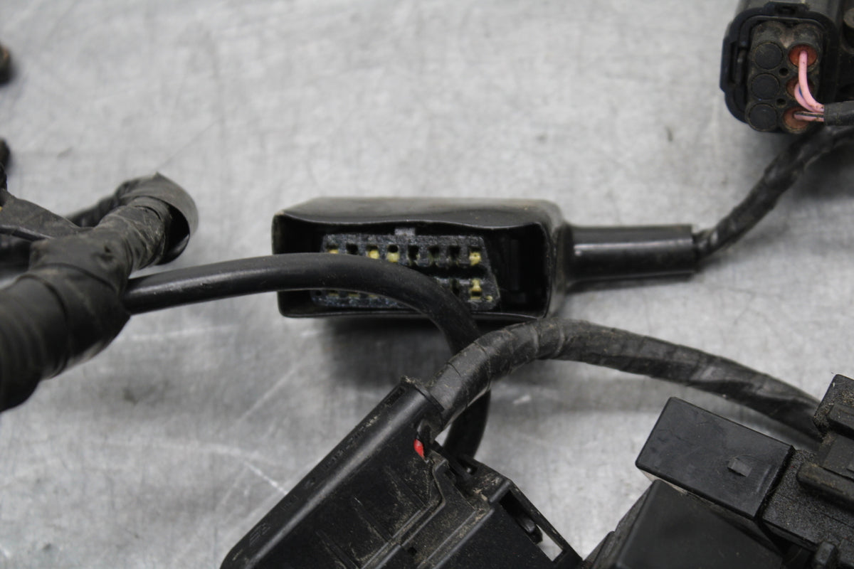 14-15 TRIUMPH STREET TRIPLE R MAIN ENGINE WIRING HARNESS MOTOR WIRE LOOM BB441
