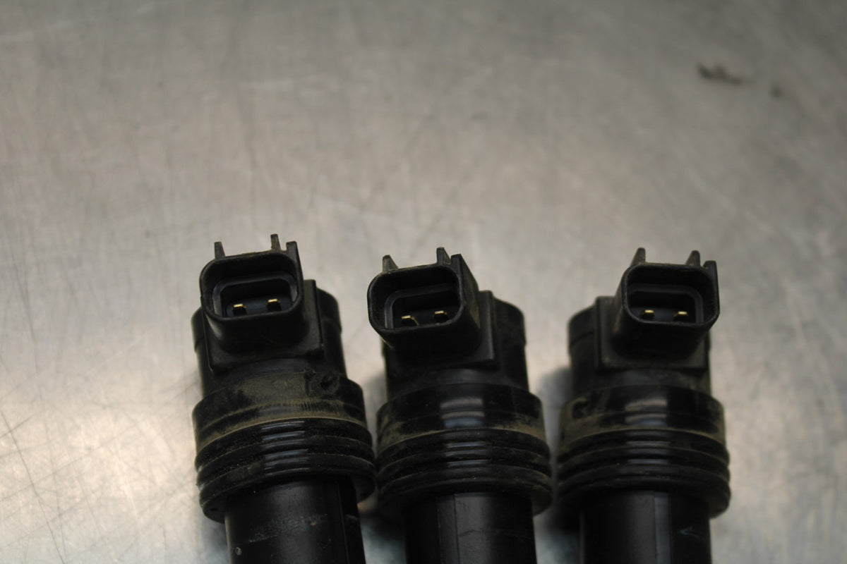 15 TRIUMPH TIGER 800 IGNITION COILS COIL SPARK PLUG CAPS BB873