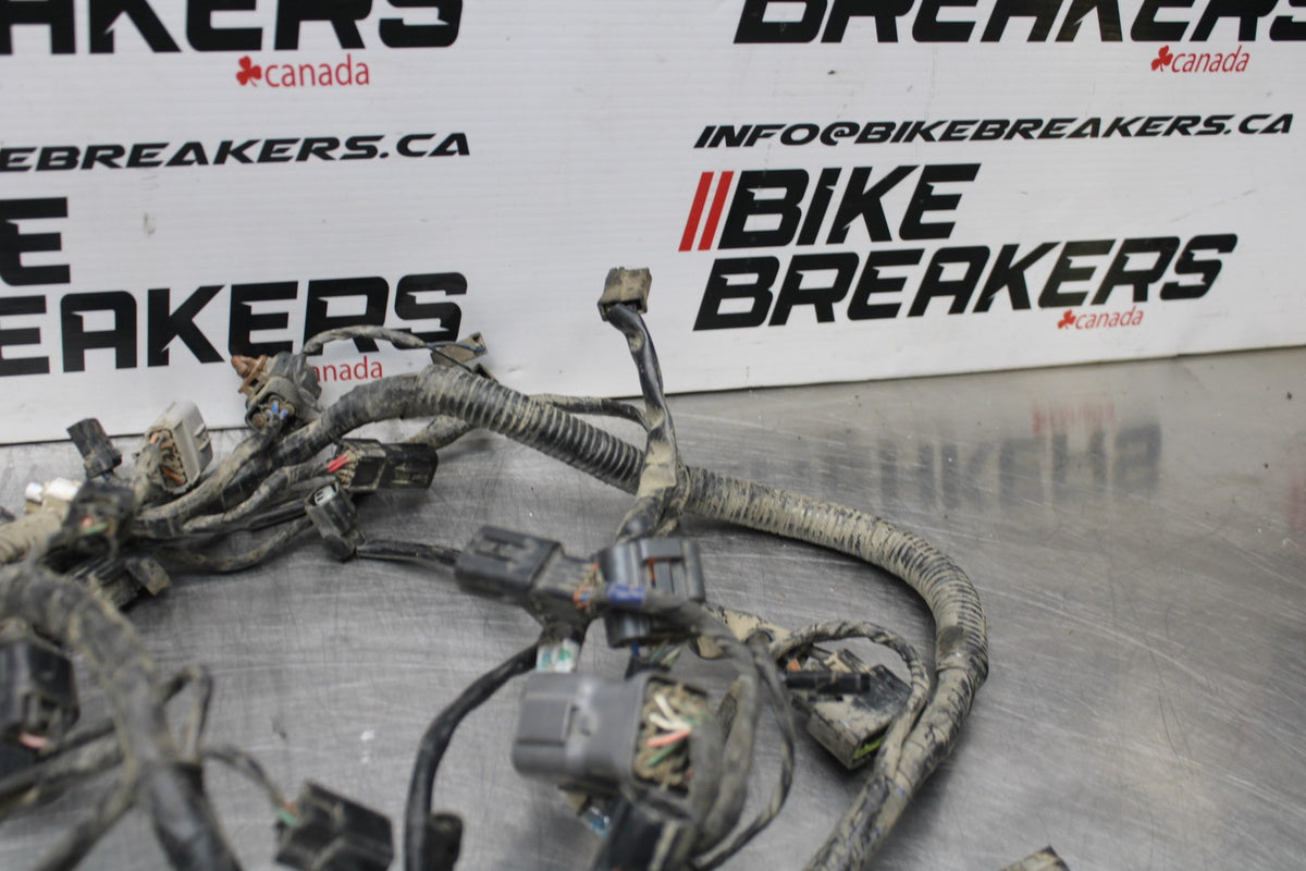 15 TRIUMPH TIGER 800 MAIN ENGINE WIRING HARNESS MOTOR WIRE LOOM BB873