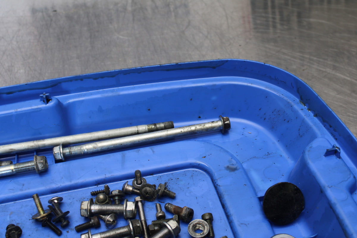 04-09 SUZUKI GS500F MOUNTING BOLTS HARDWARE MOTOR SCREWS BB165