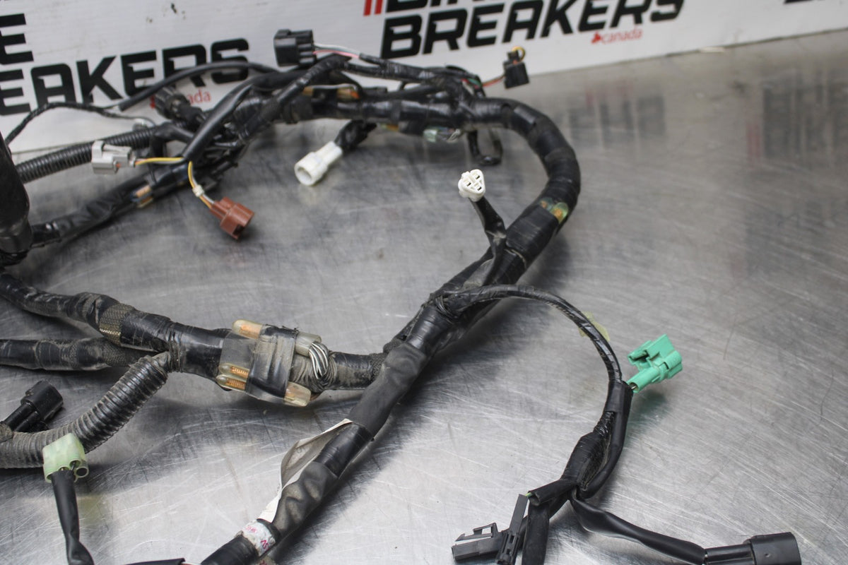 17-24 SUZUKI SV650 MAIN ENGINE WIRING HARNESS MOTOR WIRE LOOM BB829