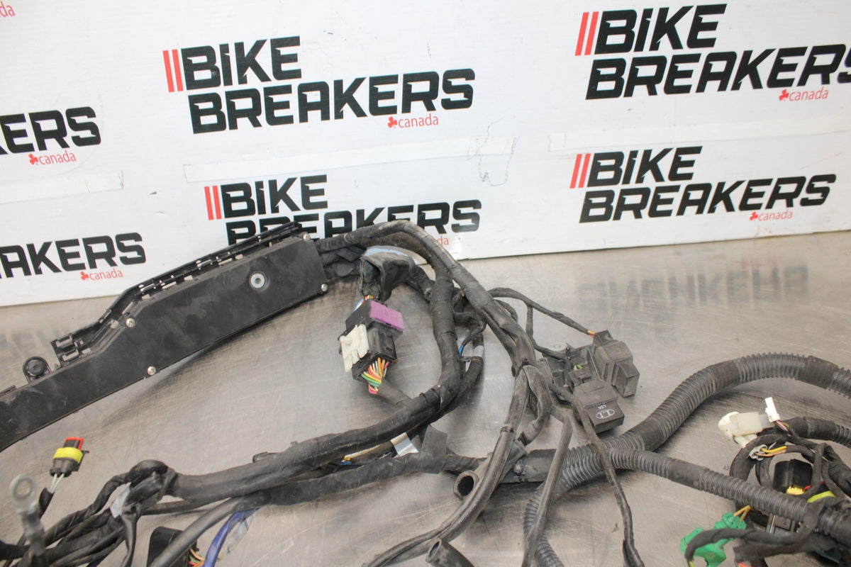 16 APRILIA TUONO V4 1100 ENGINE WIRING HARNESS MOTOR WIRE LOOM BB905