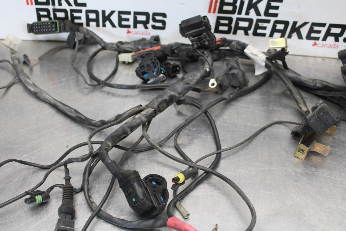 05 DUCATI SUPERSPORT 800 MAIN ENGINE WIRING HARNESS MOTOR WIRE LOOM BB913