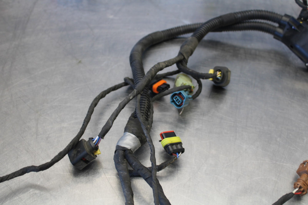 24 APRILIA TUONO V4 1100 FACTORY ABS SUB WIRING HARNESS SUB WIRE LOOM BB887