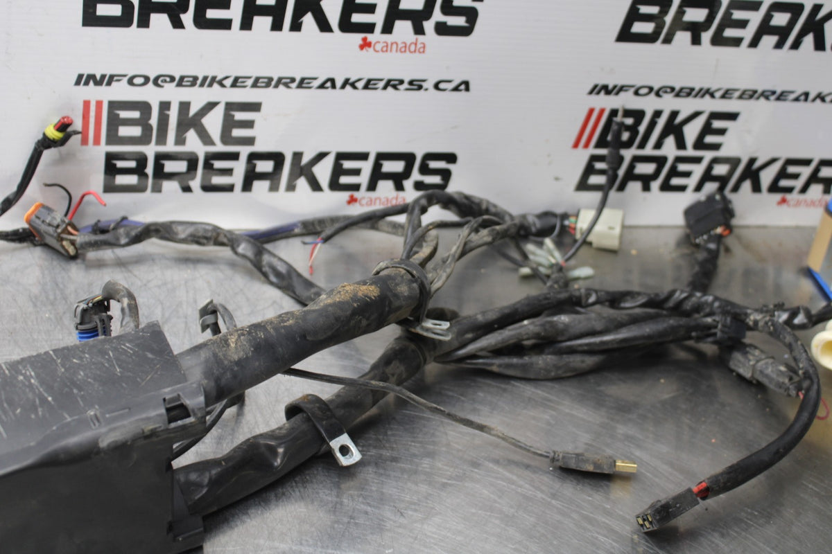 08 HARLEY-DAVIDSON ELECTRA GLIDE POLICE EFI FLHTPI MAIN WIRING HARNESS BB816
