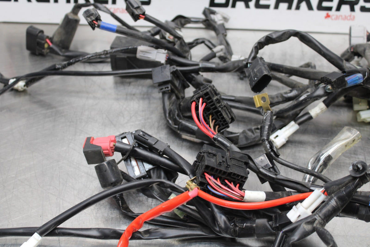 22-25 YAMAHA YZF R7 MAIN ENGINE WIRING HARNESS MOTOR WIRE LOOM  BB176