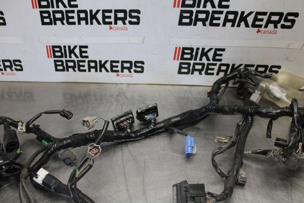 23 KAWASAKI NINJA 650 EX650 MAIN ENGINE WIRING HARNESS MOTOR WIRE LOOM BB920