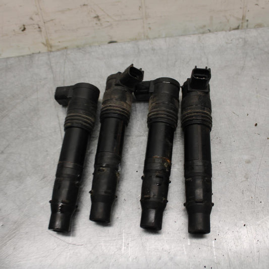 06-07 KAWASAKI NINJA ZX14R IGNITION COILS COIL SPARK PLUG CAPS BB466