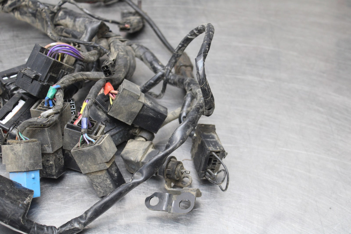 15 TRIUMPH TIGER 800 MAIN ENGINE WIRING HARNESS MOTOR WIRE LOOM BB873
