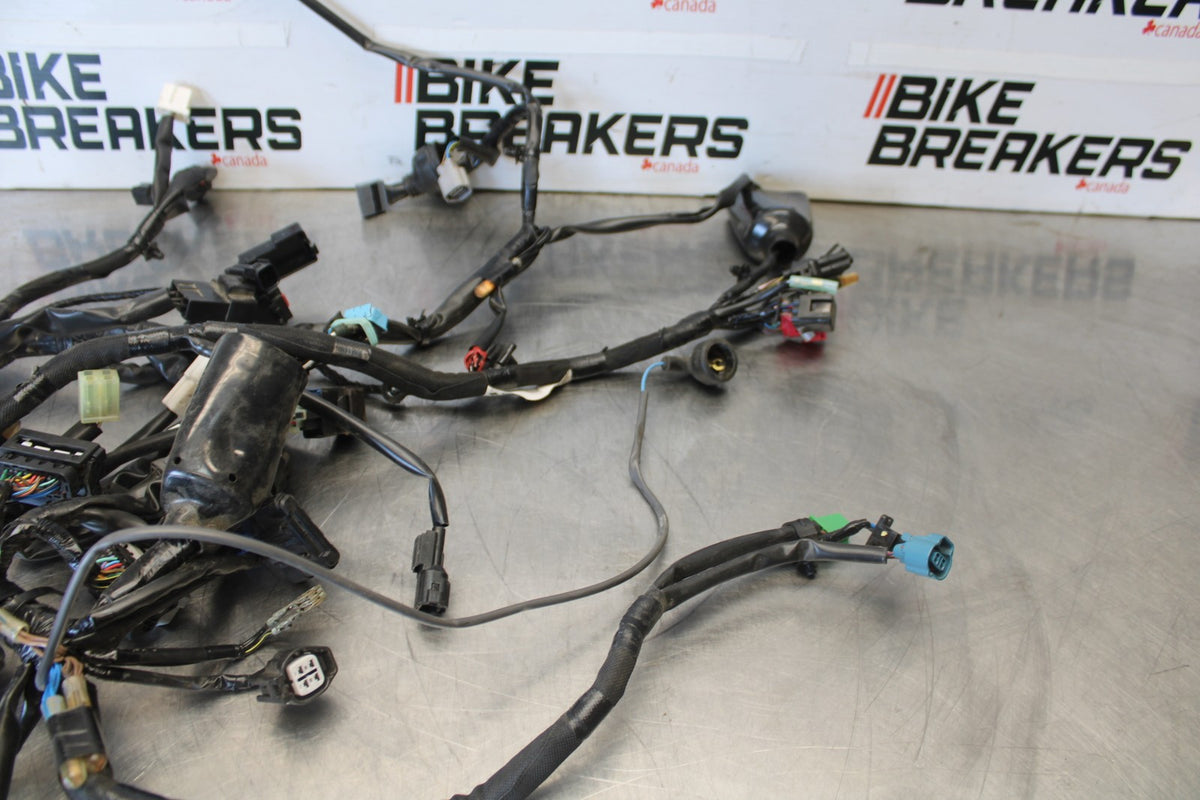24-25 KAWASAKI NINJA 500 ABS MAIN ENGINE WIRING HARNESS WIRE LOOM BB899