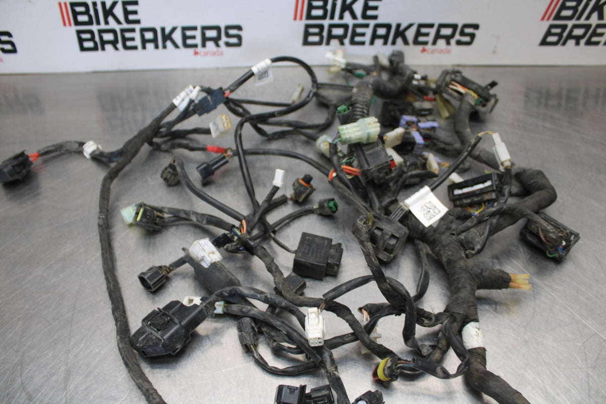 18-22 HUSQVARNA VITPILEN 701 MAIN ENGINE WIRING HARNESS MOTOR WIRE LOOM BB198