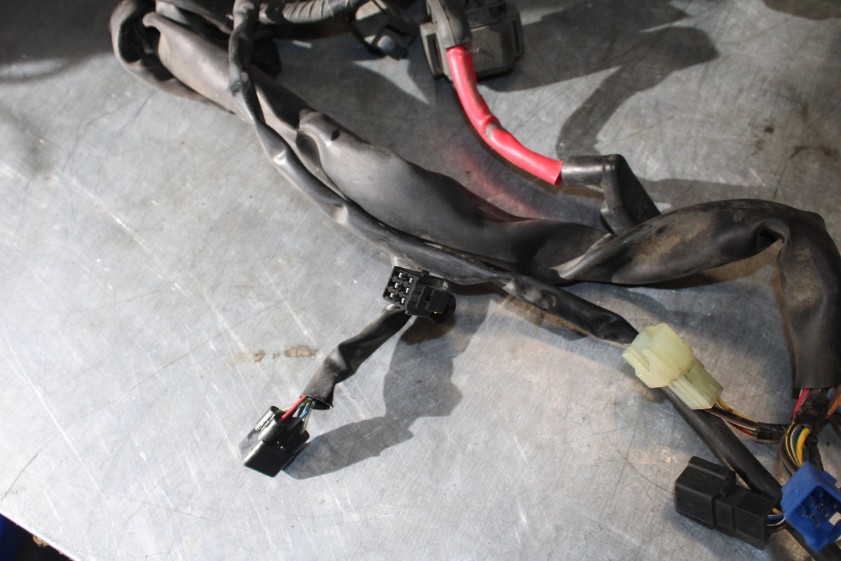05-06 YAMAHA ROAD STAR XV1700A MAIN ENGINE WIRING HARNESS MOTOR WIRE LOOM BB703