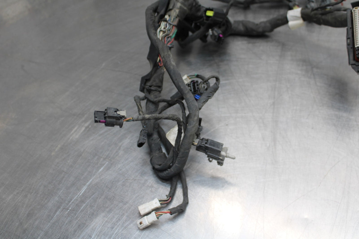 22 HARLEY-DAVIDSON PAN AMERICA 1250 MAIN WIRING HARNESS & MOTOR WIRE LOOM BB910