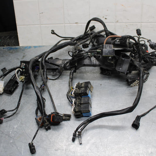 17-21 TRIUMPH STREET TRIPPLE R ABS MAIN  WIRING HARNESS MOTOR WIRE LOOM bb452