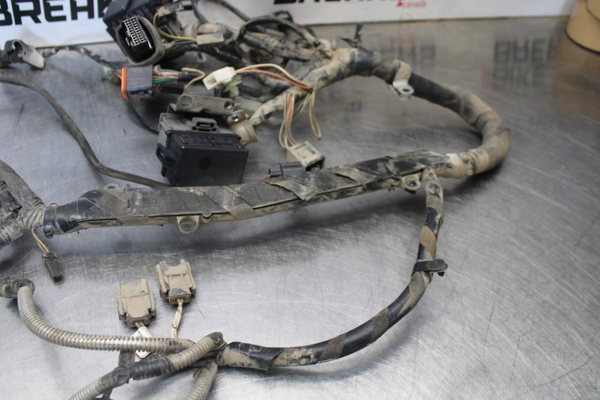 04 BUELL FIREBOLT XB12R ENGINE WIRING HARNESS MOTOR WIRE LOOM BB903