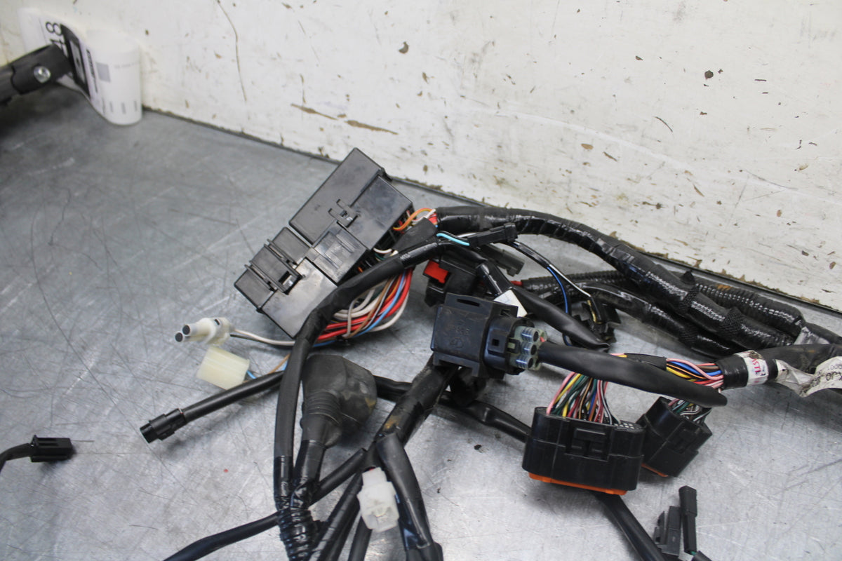 17-24 SUZUKI SV650 MAIN ENGINE WIRING HARNESS MOTOR WIRE LOOM BB706