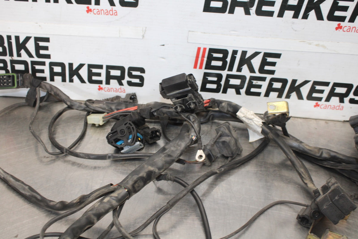 05 DUCATI SUPERSPORT 800 MAIN ENGINE WIRING HARNESS MOTOR WIRE LOOM BB913
