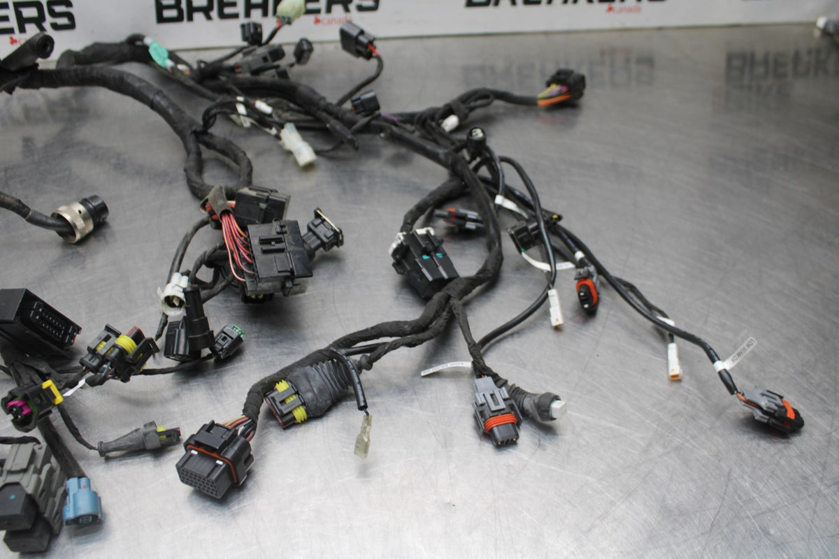 16 DUCATI 959 PANIGALE MAIN ENGINE WIRING HARNESS MOTOR WIRE LOOM BB912