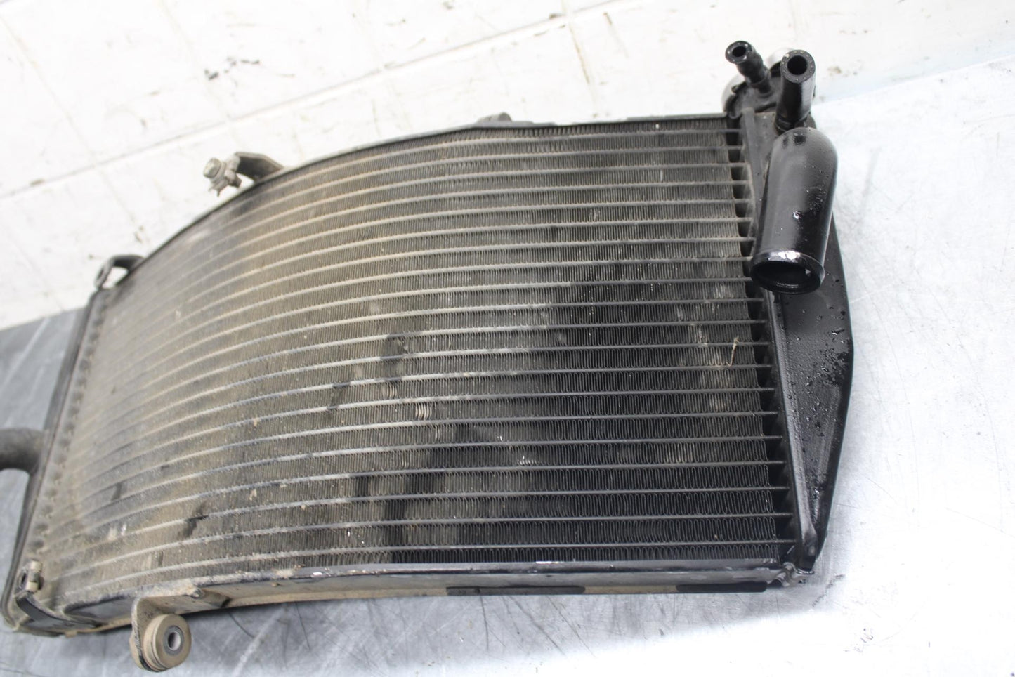02-03 HONDA CBR900RR 954 ENGINE RADIATOR MOTOR COOLER COOLING RADIATER BB497